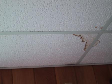 Ceiling Tile, How To Cover Water Stains On Ceiling Tiles